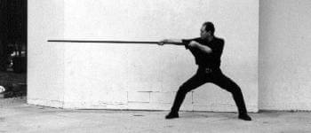 Wing Chun Long Pole